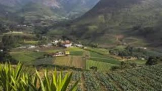 SOLDADOS DA NOVA HOLANDA MACAE ADA VAI TOMAR 25 FAVELAS DO CV EM RIO DAS OSTRAS TROPA DO URSO