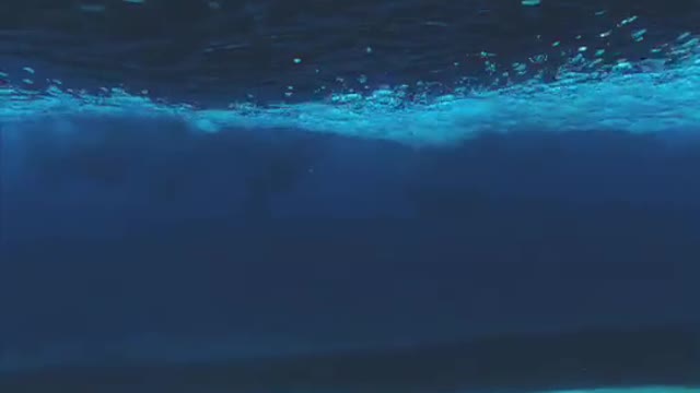 Beautiful Oceans Look and Around Things