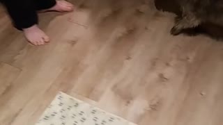 Running shoes