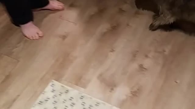 Running shoes