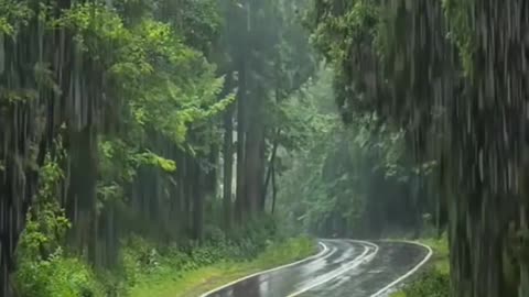 beautiful Road beautiful rain