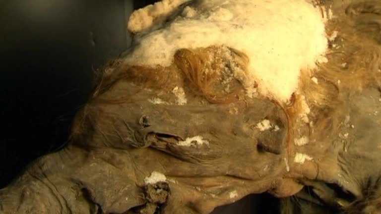 Ancient baby mammoth on display in Moscow