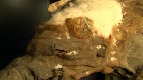 Ancient baby mammoth on display in Moscow