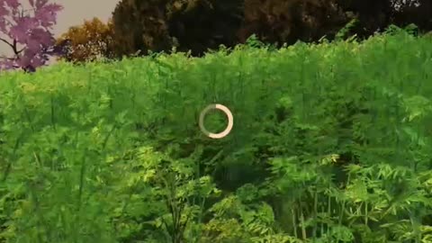 The Claymore In DayZ are the BEST