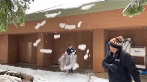Falling Snow....Never Stops