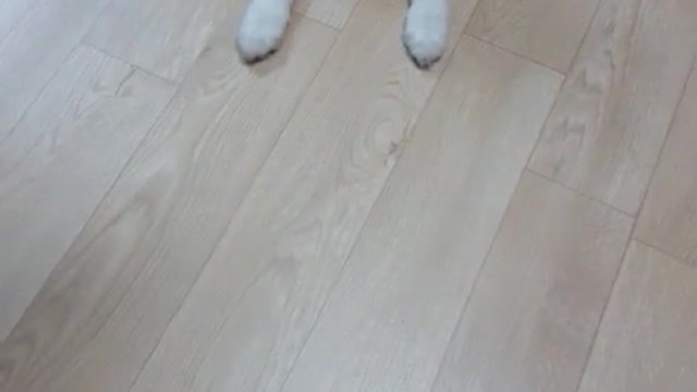High five!!!