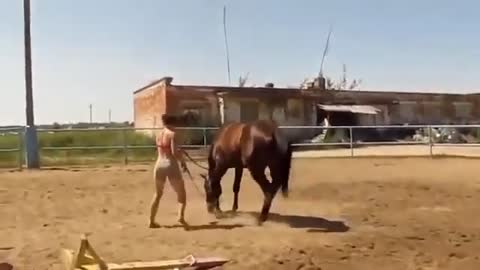 Horse showing it's sympathy with girl who just couldn't climb up