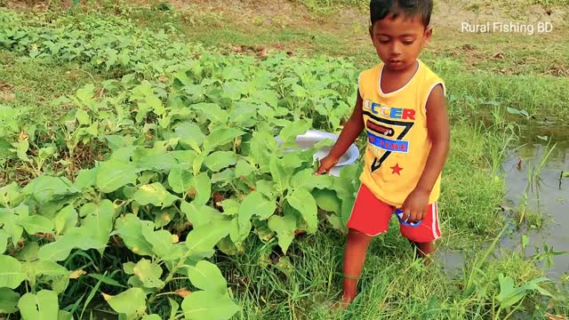 Amazing Hand Fishing Video|Traditional Boy Catching Fish By Hand in Pond Water