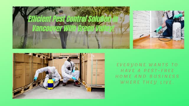 Efficient Pest Control Solution in Vancouver With Green Valley!