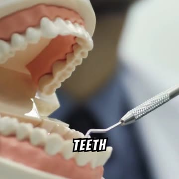 Some Dentures In The 18th Century Were Made From Dead Soldiers' Teeth #facts