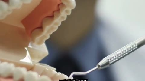 Some Dentures In The 18th Century Were Made From Dead Soldiers' Teeth #facts