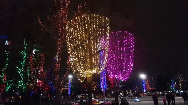 Новогодний Днепропетровск / New Year's Dnepropetrovsk