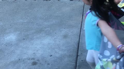 More video of the little Butterfly