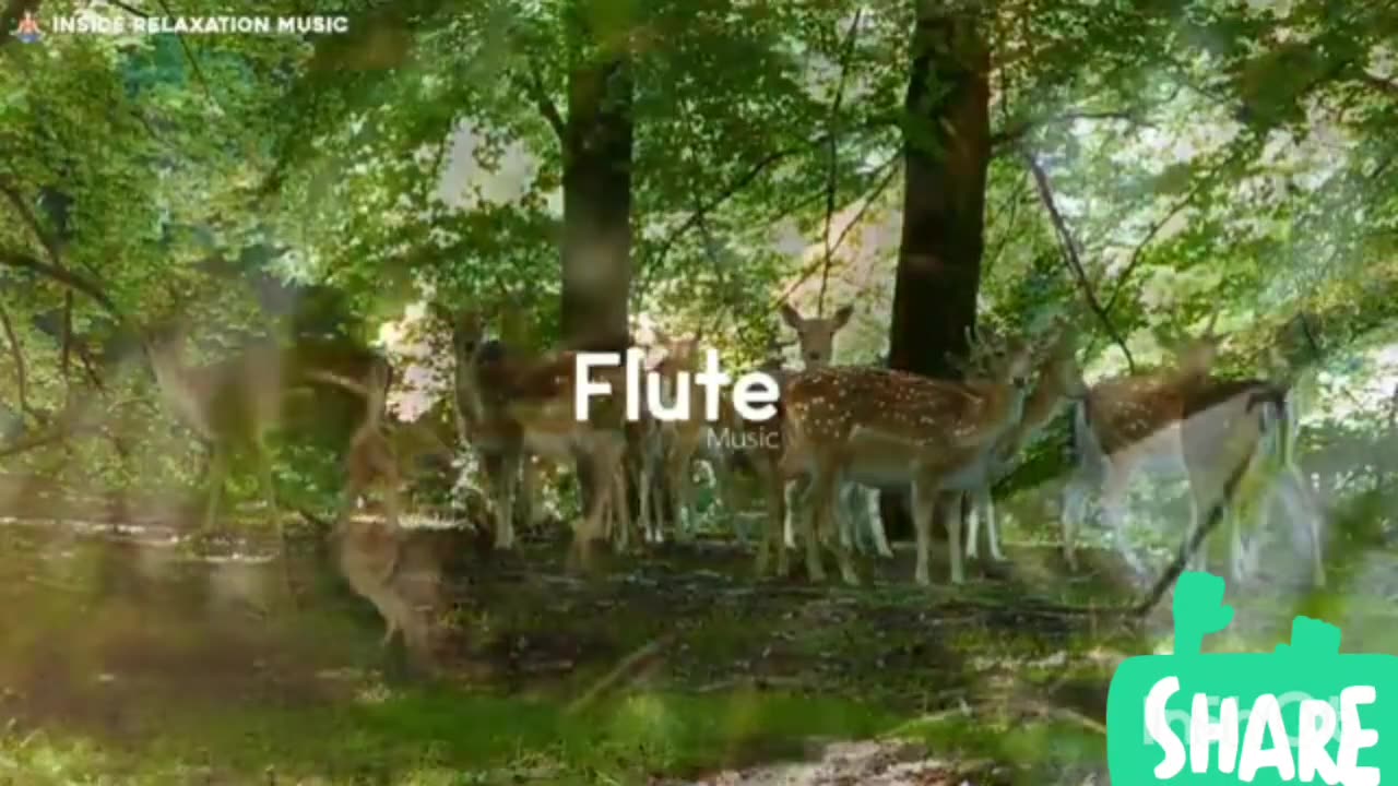 Relaxing flute music