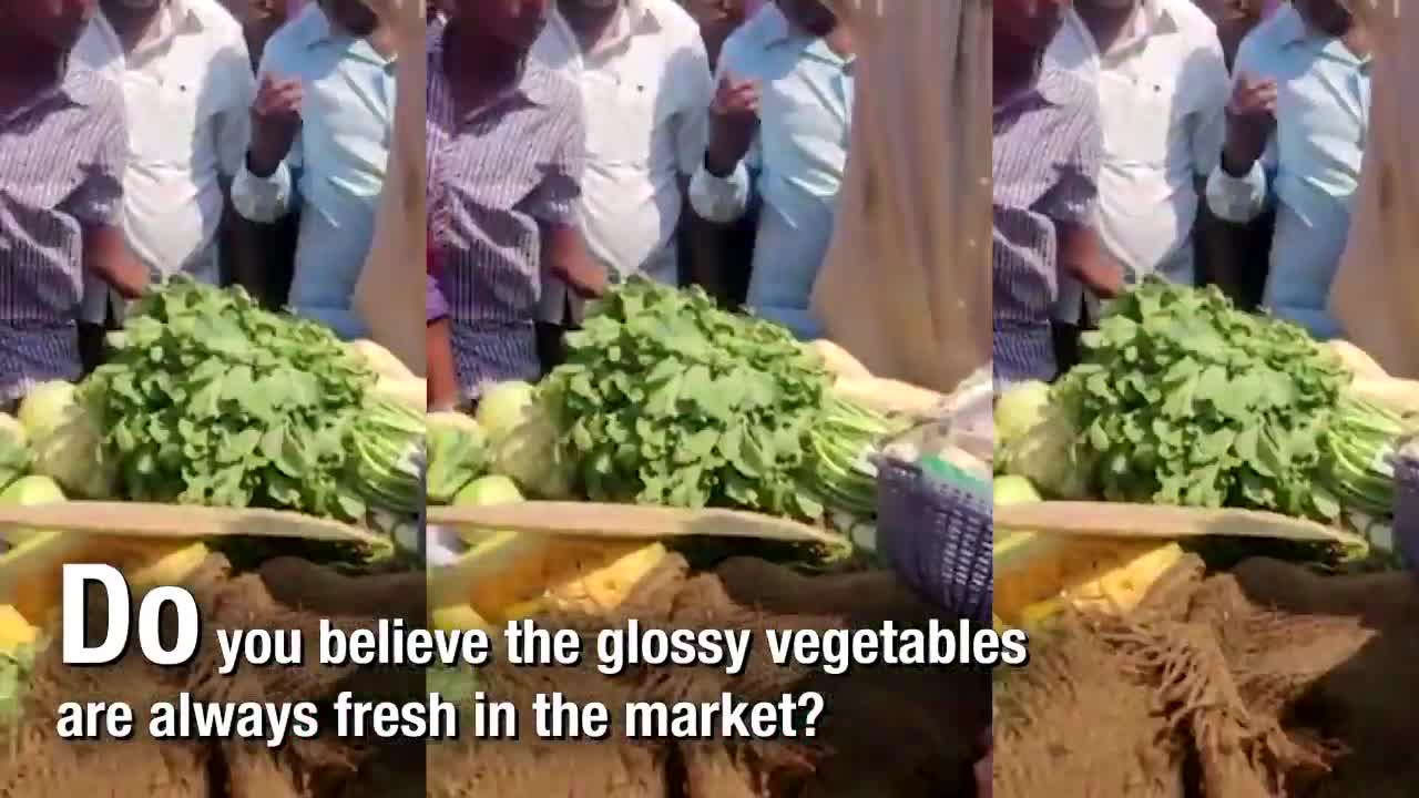 Viral video: Vegetable seller caught washing veggies in sewer water