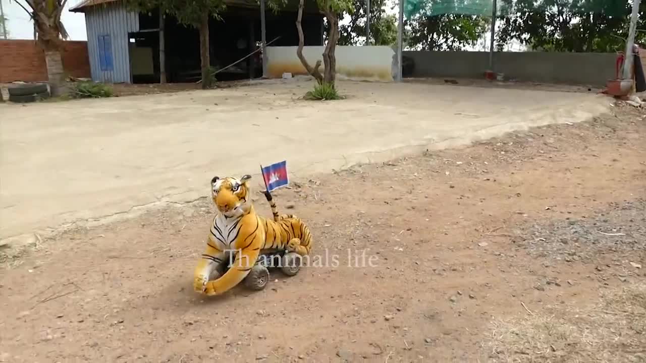 Fake tiger prank