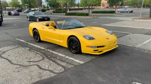 2001 chevy corvette by Jack the Irish wolfhound