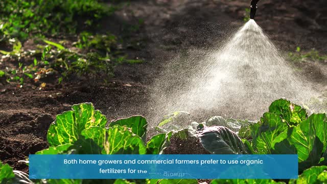 Get The Best Natural Fertilizer for a Vegetable Garden at Impellobio