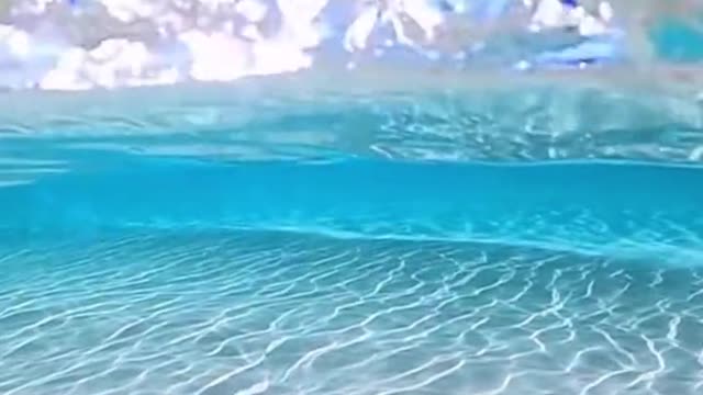 You must see the sea sometime.