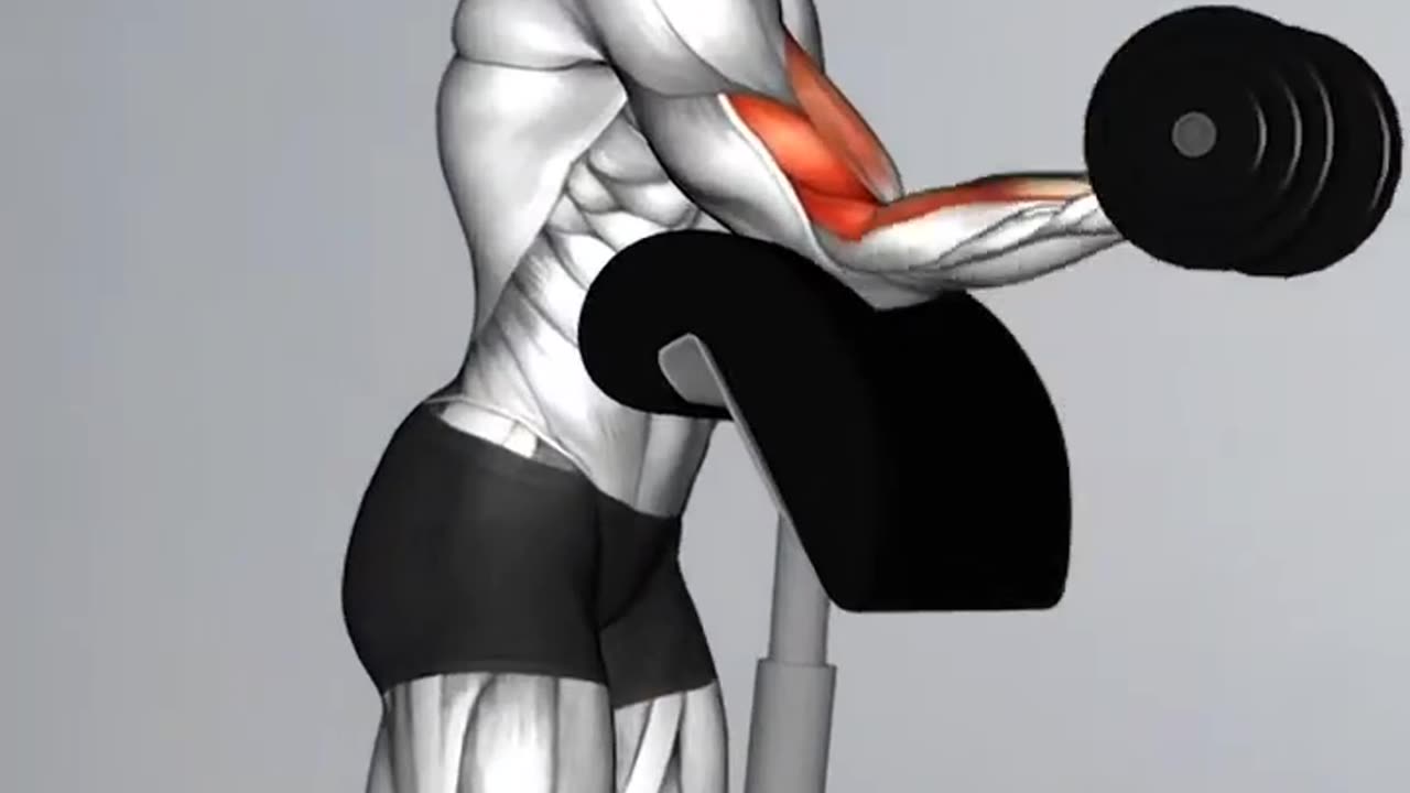 Fitness Training work out bodybuilding