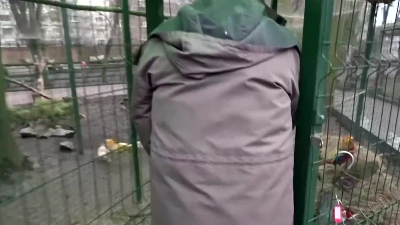 Staff at the Kyiv zoo living with their families in the zoo since the Russian invasion of Ukraine