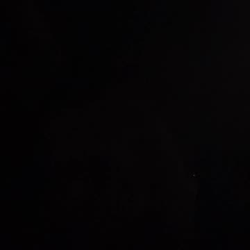 Everyone’s entitled to one