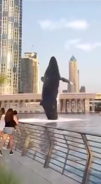 Project Bluebeam tech being tested on Public in Dubai...