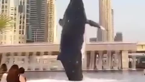 Project Bluebeam tech being tested on Public in Dubai...