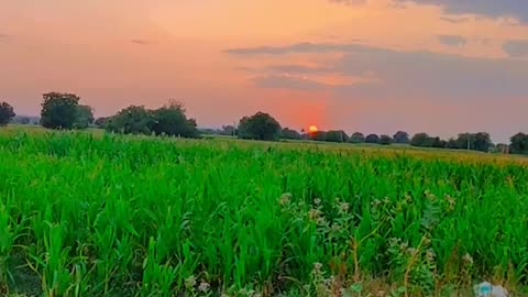 Sunset from Village 😍😍 Beautiful View