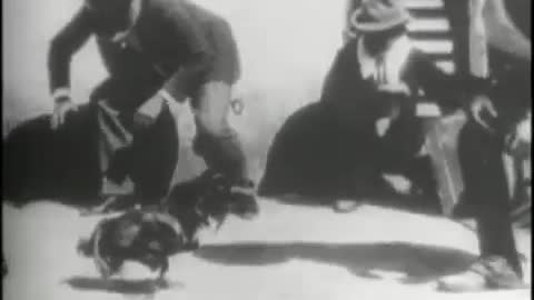 La Primera Grabacion de Pelea de Gallos del Mundo año 1896