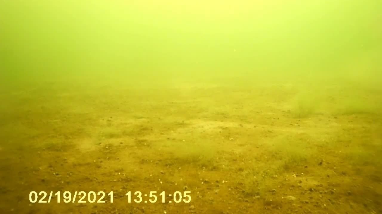 Underwater Ice Fishing Video