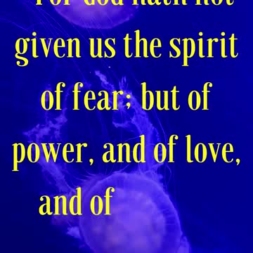 BIBLE VERSE FOR THE DAY... For God hath not given us the spirit of fear; but of power, and of love