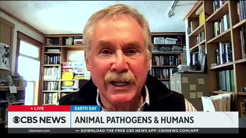 Examining how animal pathogens affect humans