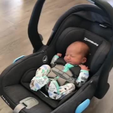 Cute baby animals Videos Compilation cutest moment of the animals - 🐶 Cutest Puppies #19