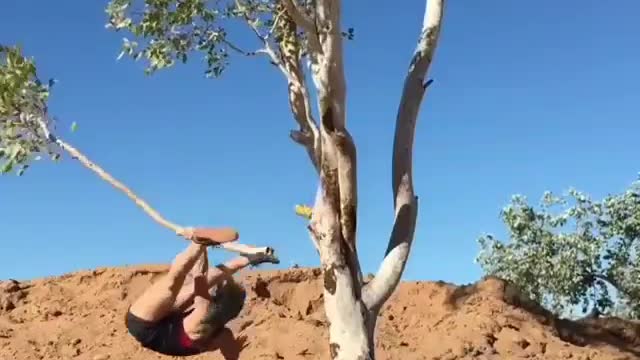 Fitness Girl fall with tree stem while doing workout on tree