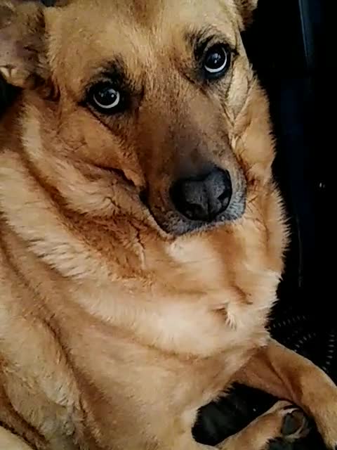 Poor Poor Pitiful Maisie