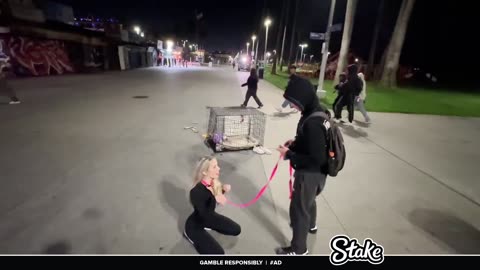 OF THOT pretending to be dogs in public