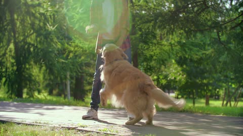 Boy playing with his dog!