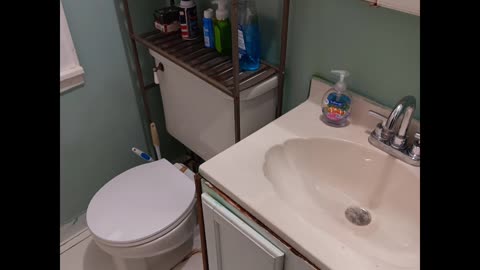 A deep cleaning of a bathroom in West Roger's Park