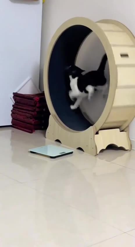 I tried this at the gym with the same results