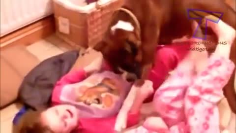 😍Cute dogs cuddling and playing with babies🤩