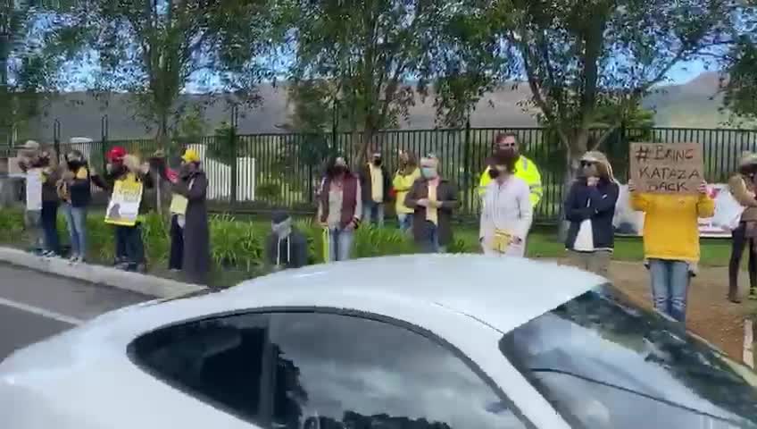 Silent protest staged in support of 'displaced' baboon Kataza