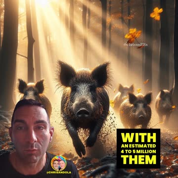 DO YOU HAVE A STORY? Chris talks feral hogs