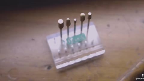 How to make gold wireless Airport