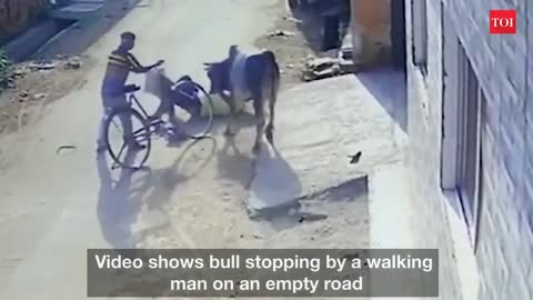 Man attacked, tossed by furious bull