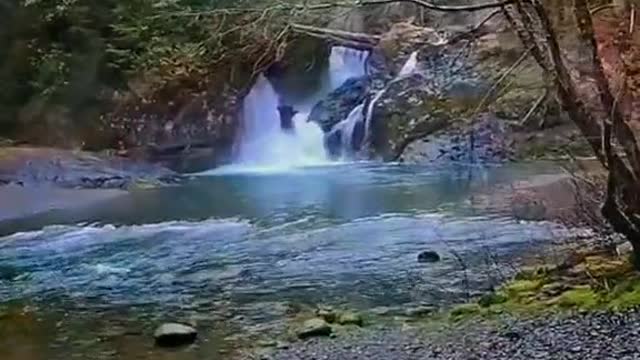 Video about beautiful wildlife.