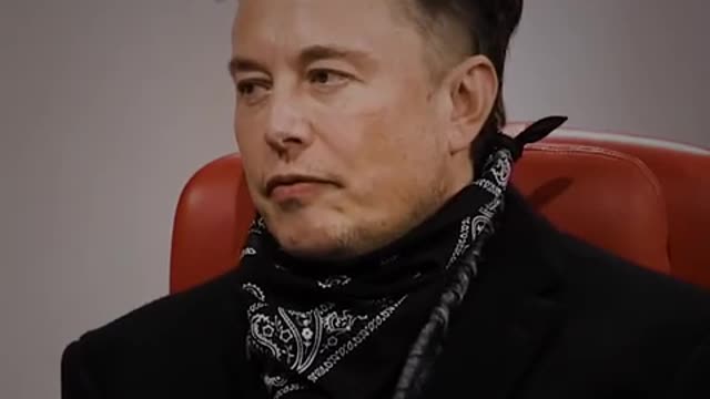 Elon Musk and the birth rate