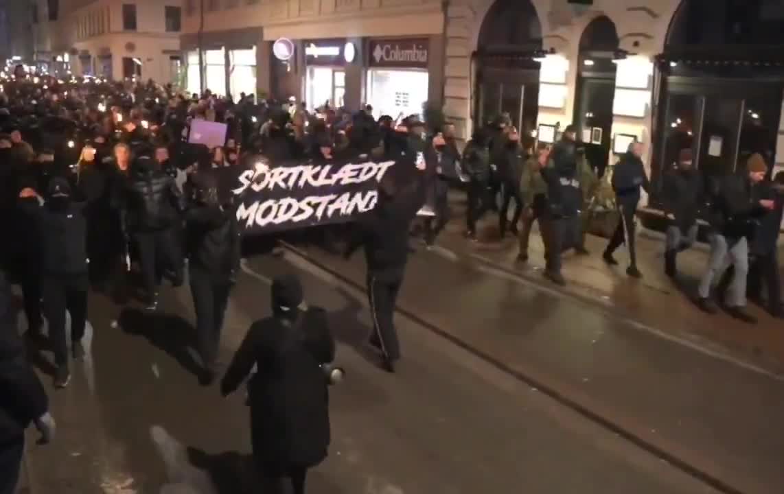 Dänemark Protest
