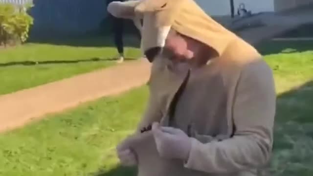 Little kangaroo thinks the man dressed in kangaroo is his mom