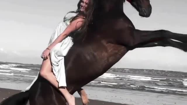 Horse lover